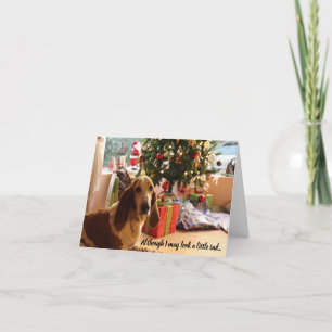 Bewerkbare Basset Hound Lover Dog Christmas Kaart