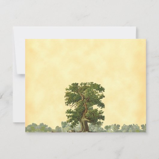 Bewerkbare -eikenboom met schrijfbare zwarte stree notitiekaartje (Achterkant)