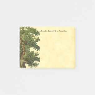 Bewerkbare -eikenboom met schrijfbare zwarte stree post-it® notes