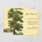 Bewerkbare  eikenstructuur Alleen verplaatst vierk Notitiekaartje (Voorkant / Achterkant)