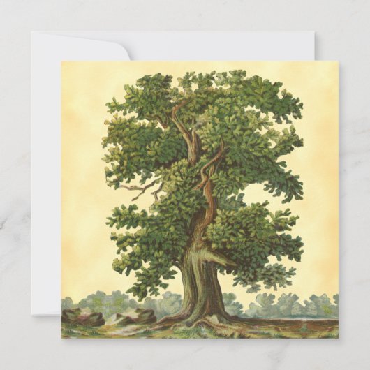 Bewerkbare  eikenstructuur Alleen verplaatst vierk Notitiekaartje (Achterkant)