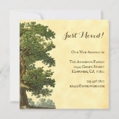 Bewerkbare  eikenstructuur Alleen verplaatst vierk Notitiekaartje (Voorkant)