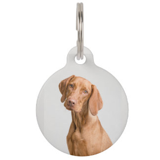 Bewerkbare ID hond/kat huisdier labels