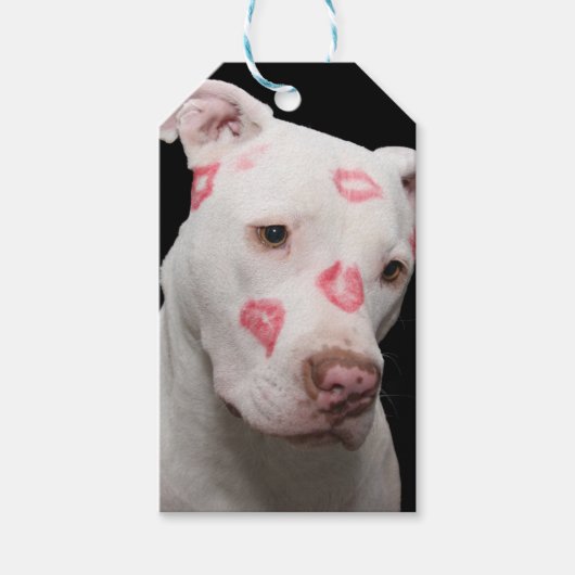 Bewerkbare Pitbull Lover Cadeaulabel (Voorkant)