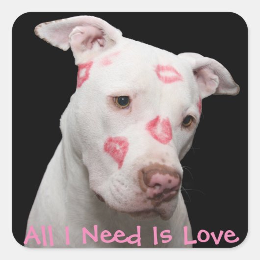 Bewerkbare Pitbull Lover Vierkante Sticker (Voorkant)