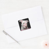 Bewerkbare Pitbull Lover Vierkante Sticker (Envelop)