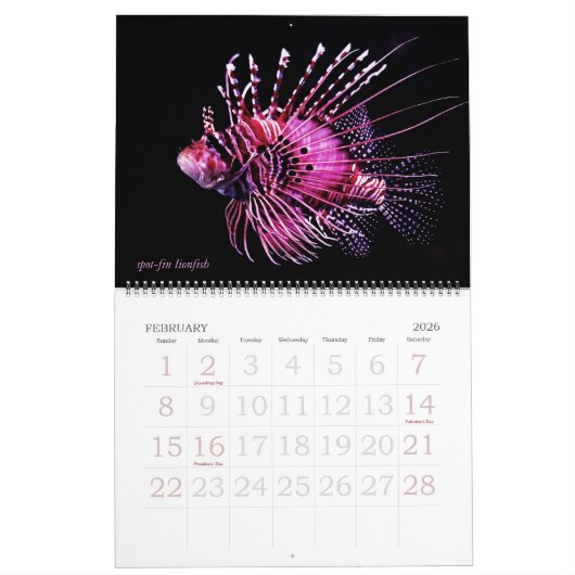 Bewerkbare tropische vis kalender (Feb 2026)