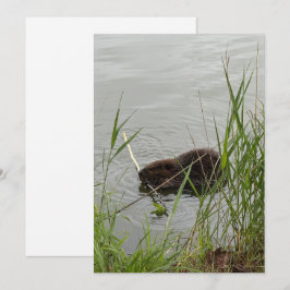 Bewerkelijke Bever Feestdagenkaart