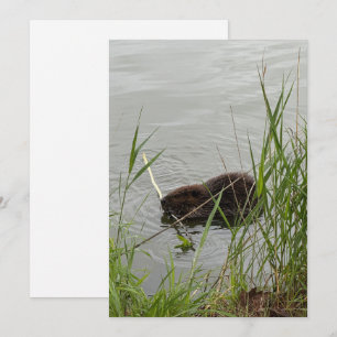 Bewerkelijke Bever Feestdagenkaart