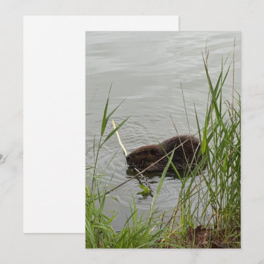 Bewerkelijke Bever Feestdagenkaart (Voorkant / Achterkant)