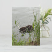 Bewerkelijke Bever Feestdagenkaart (Staand voorkant)