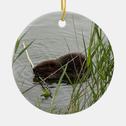 Bewerkelijke bever keramisch ornament (Voorkant)