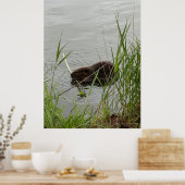 Bewerkelijke Bever Poster (Keuken)