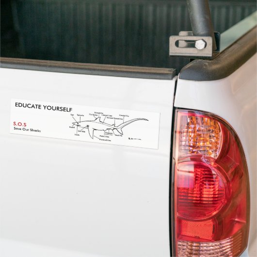 BEWERKEN UZELF BUMPERSTICKER (Op Truck)