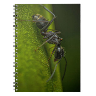 Bewerkte Zwarte Mier op een Groen Blad Notitieboek
