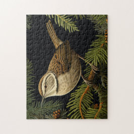 Bewick’s wren on fir branches legpuzzel