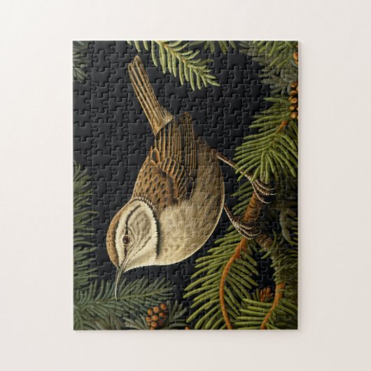 Bewick’s wren on fir branches legpuzzel (Verticaal)