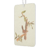 Bewick's langgetrapt monistische vogeltje luchtverfrisser (Links)