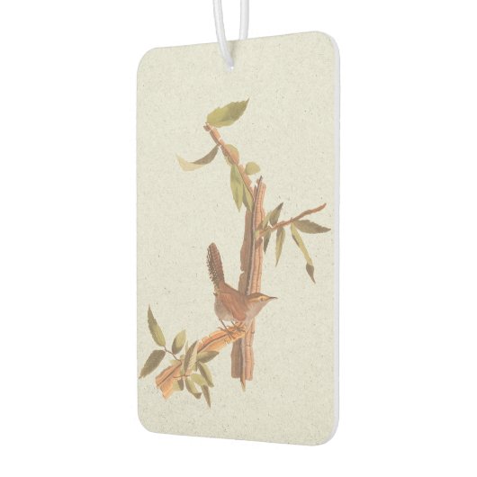 Bewick's langgetrapt monistische vogeltje luchtverfrisser (Links)