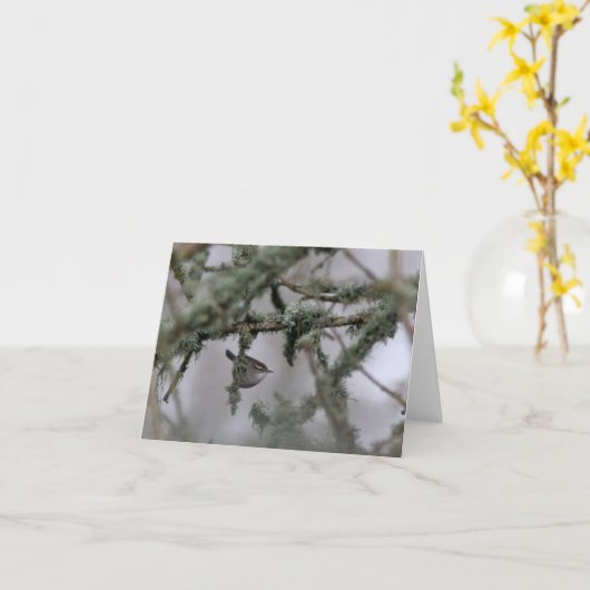 Bewick's Wren en mos Blank Note Kaart (Gele Bloem)