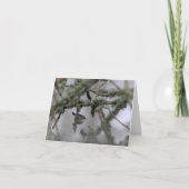 Bewick's Wren en mos Blank Note Kaart (Voorkant)