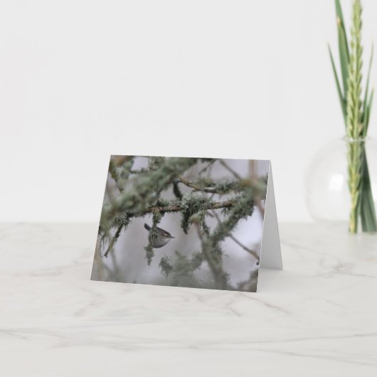 Bewick's Wren en mos Blank Note Kaart (Voorkant)