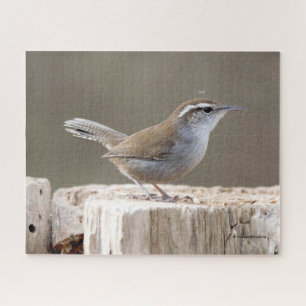 Bewick's Wren Songbird op Treestump Legpuzzel
