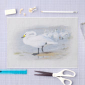Bewick's zwaan, Vogelillustratie Tissuepapier (Craft)