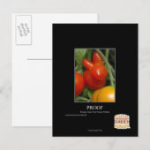 Bewijs Briefkaart (Voorkant / Achterkant)