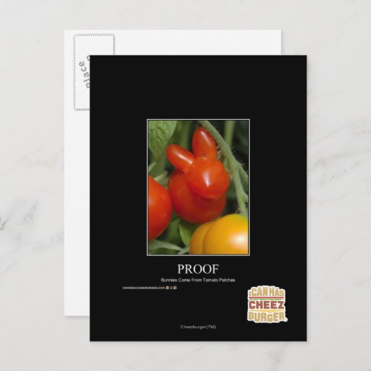 Bewijs Briefkaart (Voorkant / Achterkant)