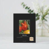 Bewijs Briefkaart (Staand voorkant)