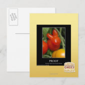 Bewijs Briefkaart (Voorkant / Achterkant)