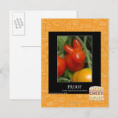 Bewijs Briefkaart (Voorkant / Achterkant)
