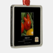 Bewijs Metalen Ornament (Rechts)