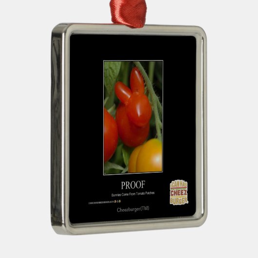 Bewijs Metalen Ornament (Rechts)