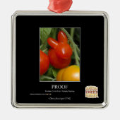 Bewijs Metalen Ornament (Voorkant)