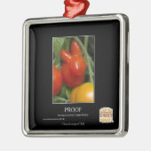 Bewijs Metalen Ornament (Links)