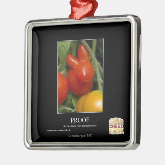 Bewijs Metalen Ornament (Links)