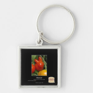 Bewijs Sleutelhanger