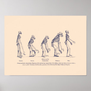 Bewijs van de plaats van het Man in Natuur Poster