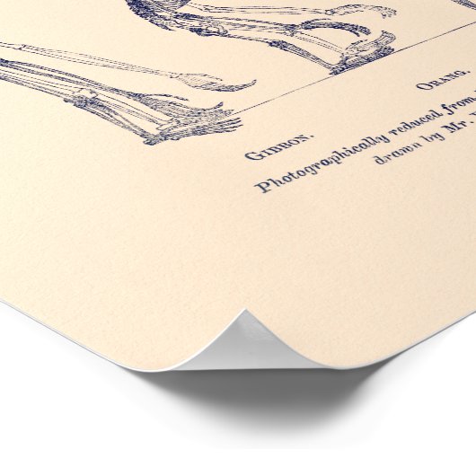 Bewijs van de plaats van het Man in Natuur Poster (Hoek)