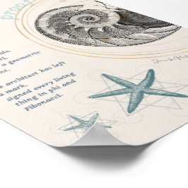 Bewijs van het ontwerp van de seashell nautilus fi poster