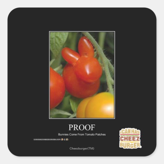 Bewijs Vierkante Sticker (Voorkant)