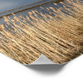 bewolkt dag waterschap Poster (Hoek)