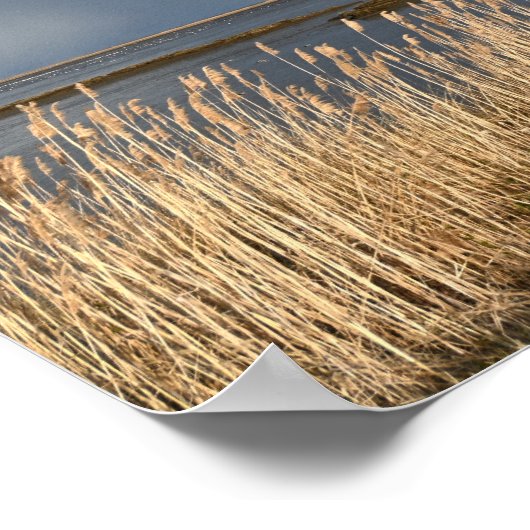 bewolkt dag waterschap Poster (Hoek)