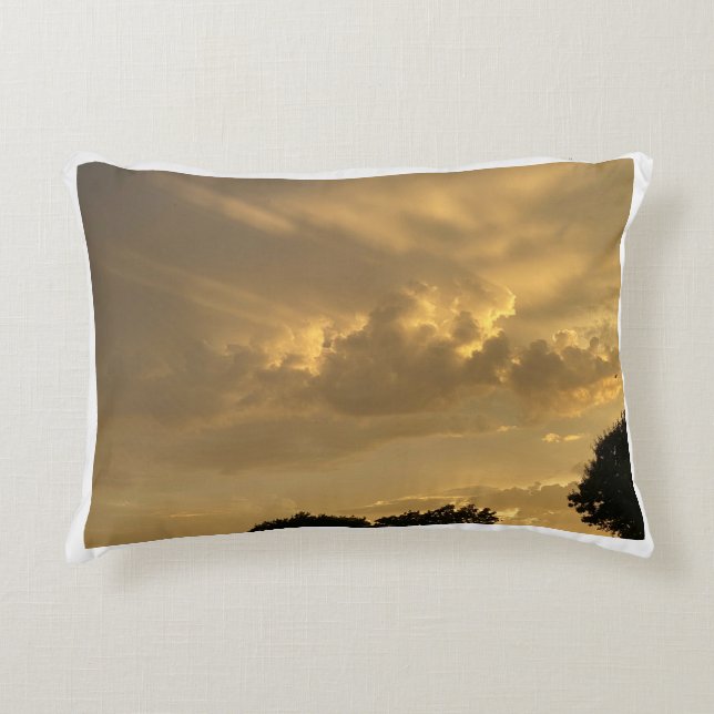 bewolkte lucht met vogel accent kussen (Voorkant)