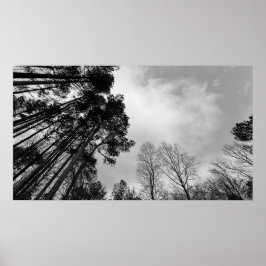 bewolkte lucht, poster