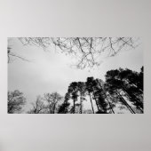 bewolkte lucht, poster (Voorkant)