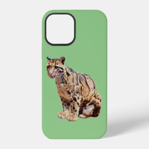 bewolkte luipaard foto jungle grote kat dier iPhone 12 hoesje