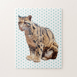 bewolkte luipaard foto jungle grote kat dier   legpuzzel